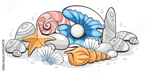 Vector illustration of seashells, seashells cones, shell with pearls on the seabed in cartoon style.