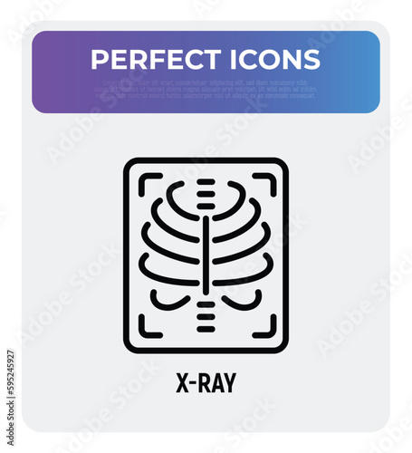 X-ray thin line icon. Medical scan. Vector illustration.