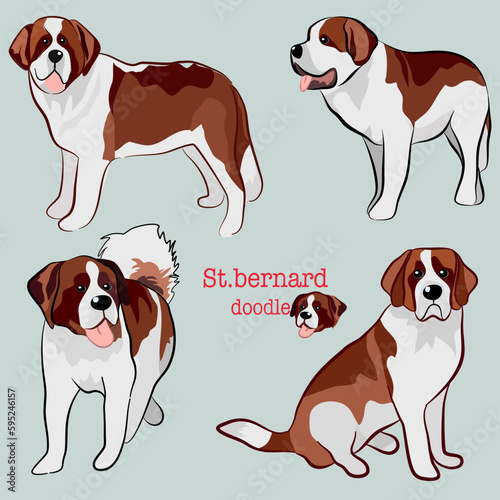Cute St.Bernard dog doodle. Collection in different poses in free hand drawing vector illustration style.