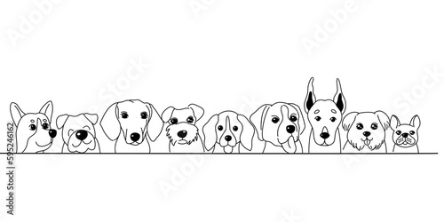 A small dogs border set, front view and rear view