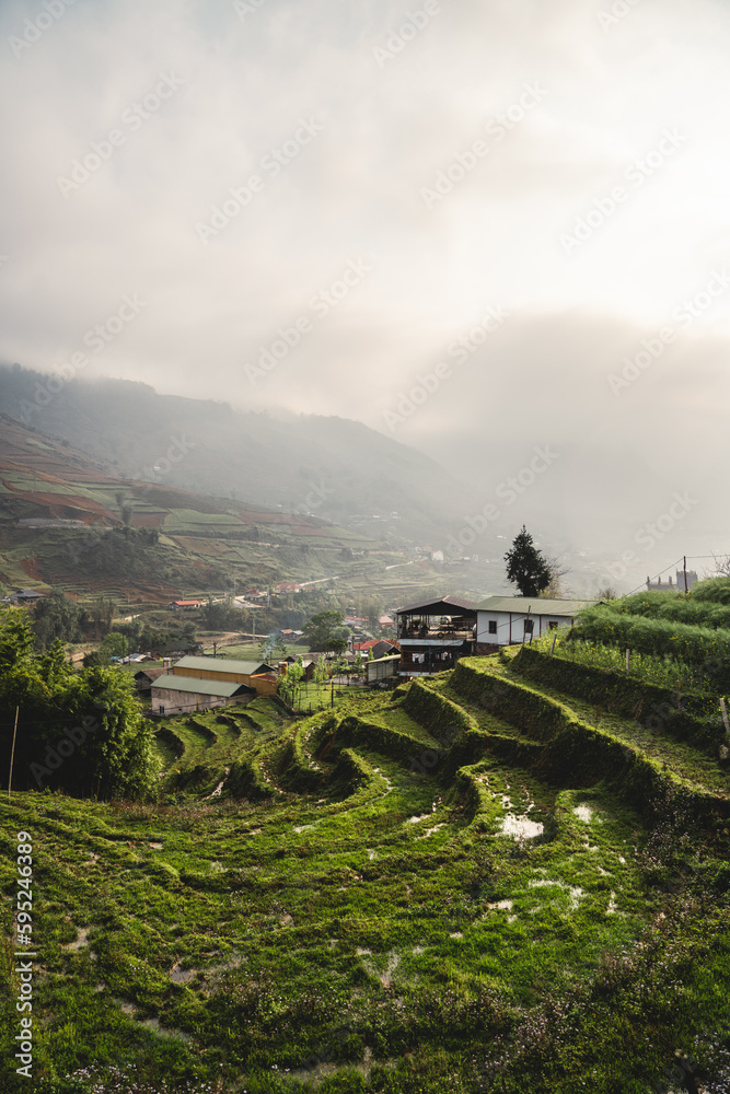 rice terraces in sa pa vietnam