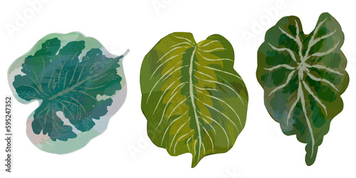 Trendy set of tropical leaves. Flat vector design. Vector design. Seal, jungle. Printing and textiles. exotic tropics. Summer, element for design, print, stickers, tags, fabric, wallpaper