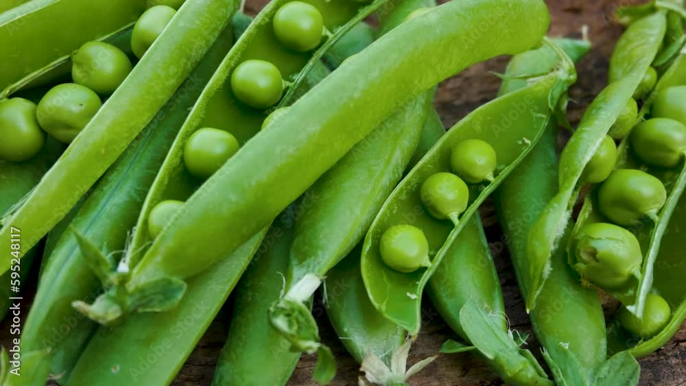 Green open pods of fresh peas on a wooden surface. Panorama. Freshly picked peas, vitamin, high-protein plant-based diet Green open pods of fresh peas on a wooden surface. Panorama. Freshly picked peas, vitamin, high-protein plant-based diet