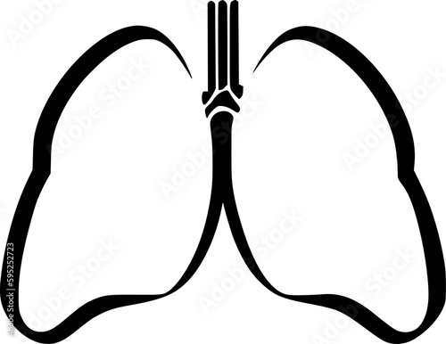 lung icon vector symbol design illustration photo