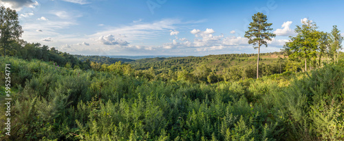 Summer panoramic view of the Devil's Punch Bowl at Hindhead shot from the front of the bowl closest to the National Trust Cafe