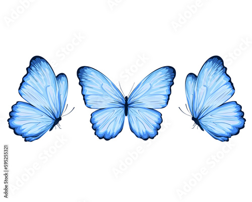 blue buterfly hand drawn design vector photo