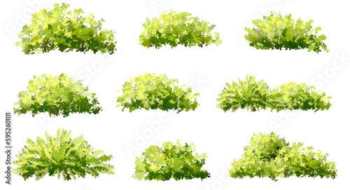 Vector green grass or tree isolated on white background,watercolor painting for section and exterior landscaping and architecture ,biology concept,forest or garden