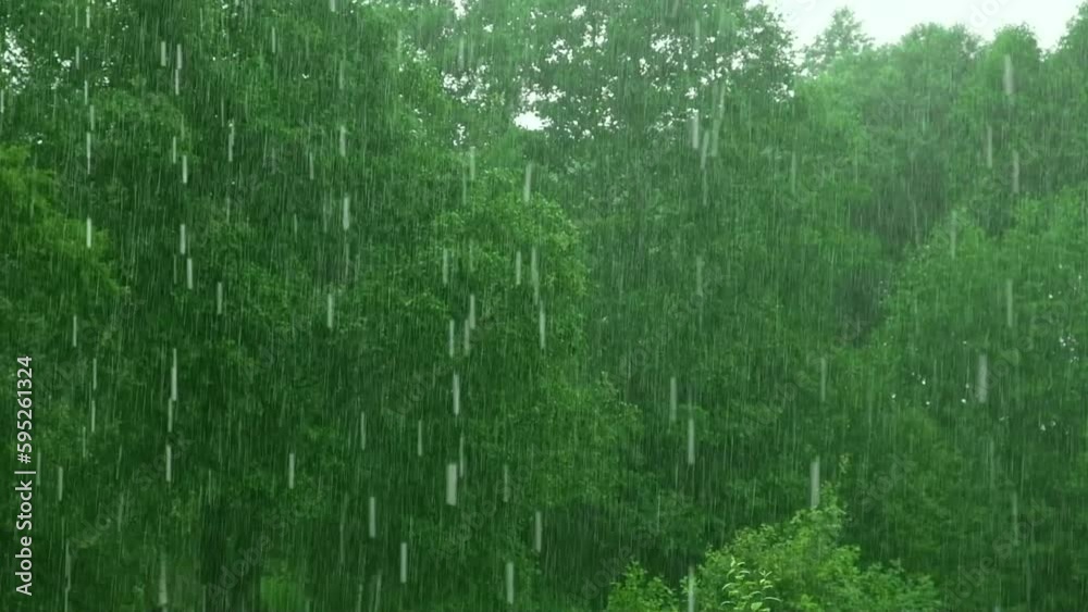 Heavy Rain. Summer Rain on Green Tree, Grass Background. CloseUp. Raining Day in Forest. Rainy weather. Tropical Downpour. Abstract Natural Backdrop. Extreme Weather Condition. Hail and Rain. Sunlight