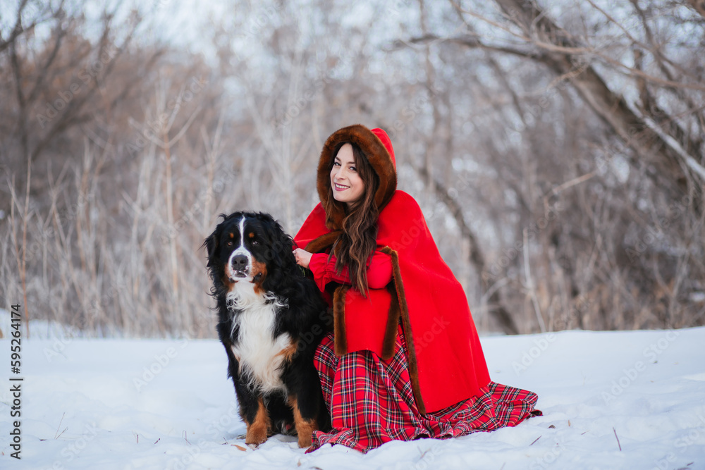 A young woman in medieval clothes in winter in the forest sits on the snow with dogs of the Bernese Mountain Dog breed.