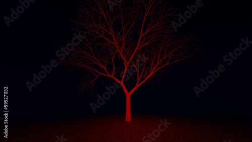 tree at night