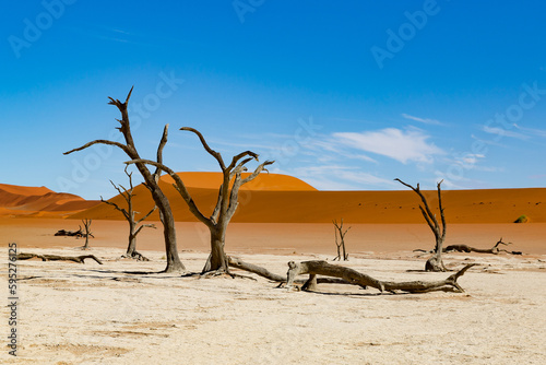 Famous Dead vlei with dead trees in dry salt lake, desert landscape of Namib at Sossusvlei, Namib-Naukluft National Park, Namibia photo