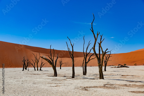 Famous Dead vlei with dead trees in dry salt lake, desert landscape of Namib at Sossusvlei, Namib-Naukluft National Park, Namibia