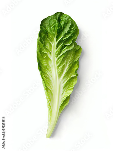 Fresh Romaine Lettuce Isolated on White | AI Generated