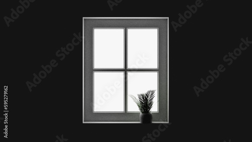 window in the dark with plant