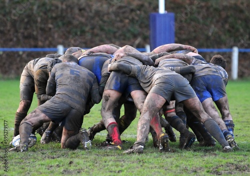 les joueurs de rugby en mêlée dans la boue