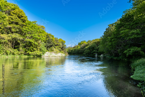 静岡県の駿東郡清水町を流れる清流で有名な柿田川と富士山 