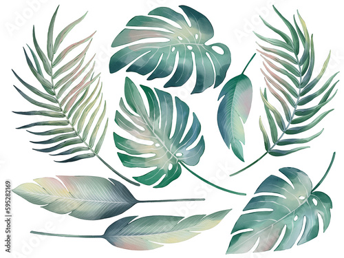 Tropical palm leaves in watercolor style isolated on white background. Hand-drawn watercolor floral illustration on transparent background can be used on a variety of surfaces