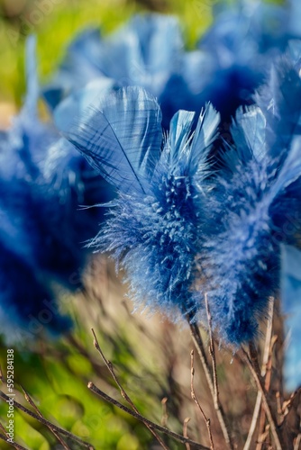 Vibrant arrangement of blue feathers nestled among a lush green plant
