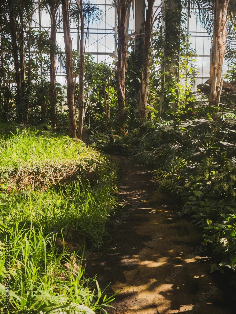 Fototapeta premium Empty path inside the Balinese Garden in Hellersdorf