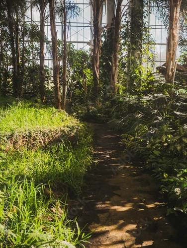 Empty path inside the Balinese Garden in Hellersdorf