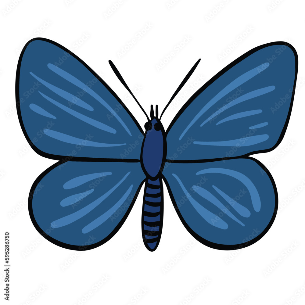 Beautiful navy blue wings butterfly ,good for graphic design resources.
