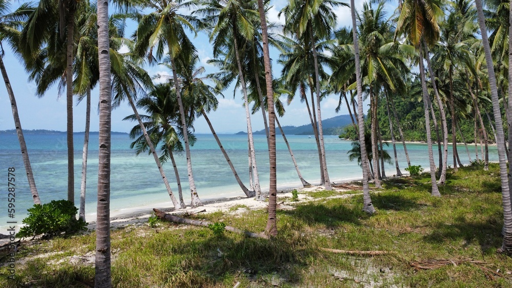 Obraz premium Tropical Island