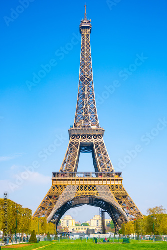 Fototapeta Naklejka Na Ścianę i Meble -  Eiffel Tower on sunny spring day. View from green lawn on Champs de Mars. Paris, France