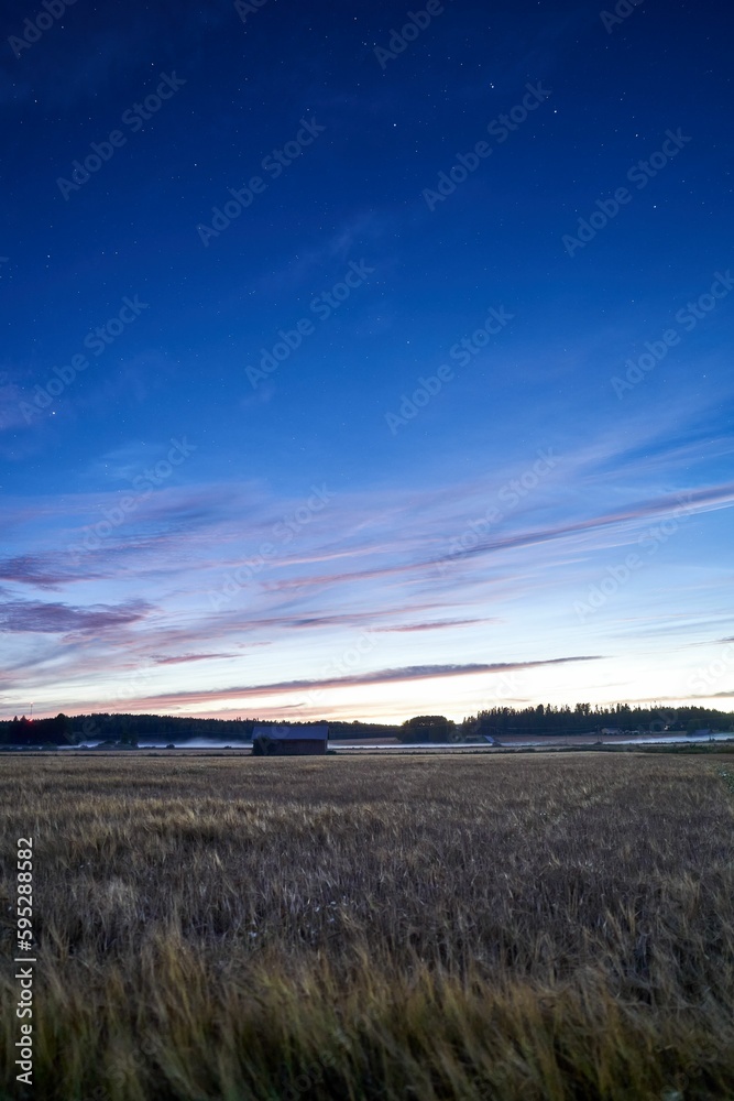 Tranquil night sky with a starlit sky illuminated above a sweeping grassy field