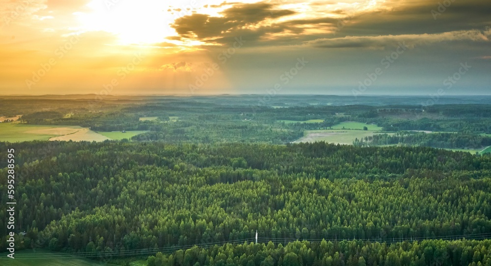 Fototapeta premium an aerial view of some trees in a field at sunset