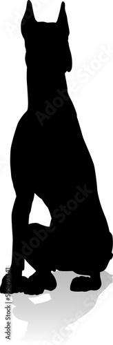 Dog Silhouette Pet Animal photo