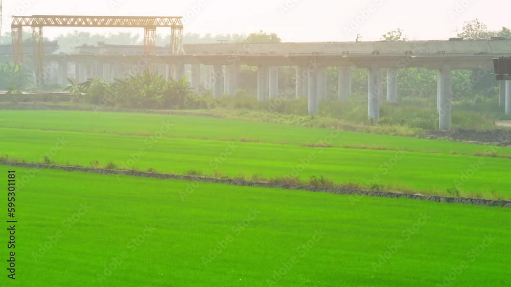 A motorway construction site in the countryside involves creating a new or upgrading an existing high-speed road network surrounded by rice fields. Wildlife and landscape preservation are a priority.
