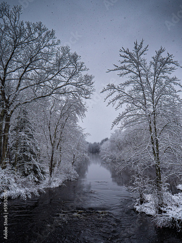 river landscape with trees and snow