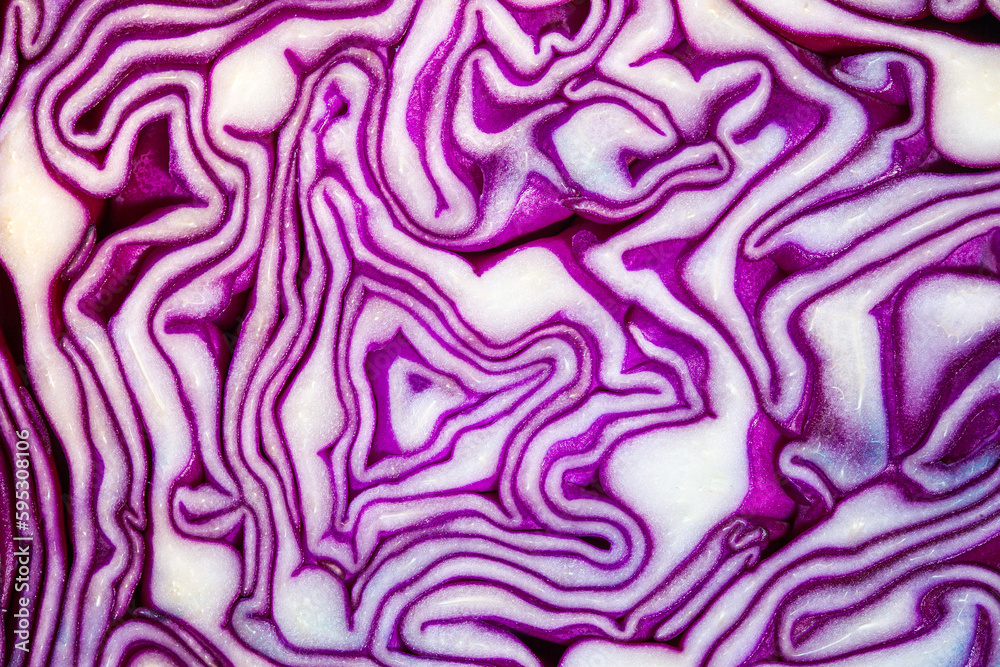 Macro Purple Cabbage,Macro shot of purple cabbage texture. Food background. Close-up macro view of red cabbage, scotch kale, high resolution. Organic food. View from above. Copy space. Vertical shot. Macro Purple Cabbage,Macro shot of purple cabbage texture. Food background. Close-up macro view of red cabbage, scotch kale, high resolution. Organic food. View from above. Copy space. Vertical shot.