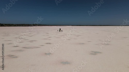 Couple walking dogs on dry salt flat from drone. 