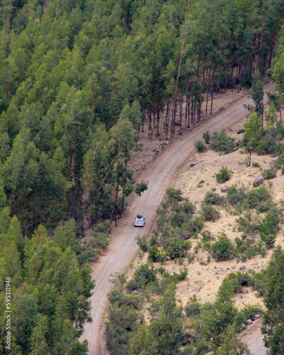 Foto aérea de carro passando em estrada cercada de árvores 