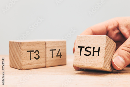 TSH, diagnosis of thyroid diseases, medical examination of t3 and t4, production and secretion of hormones, hypothyroidism or hyperthyroidism, Wooden blocks with text. Regular health examination photo