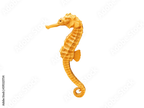 Mummified Sea Horse (seahorse) isolated PNG transparent