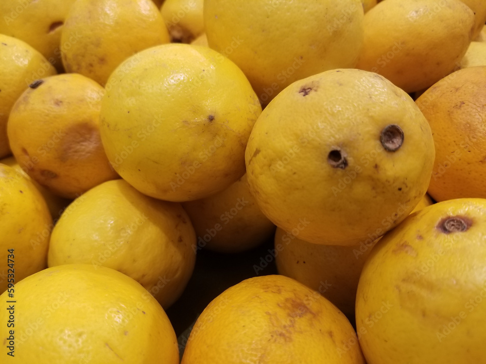 Pile of yellow very fresh limes Pile of yellow very fresh limes