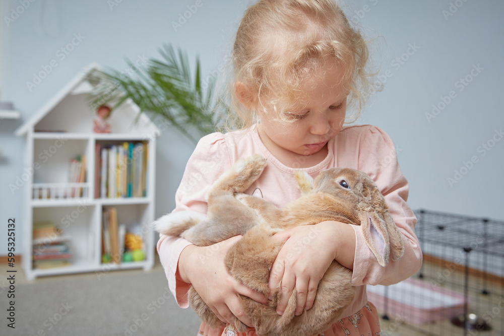 The girl keeps a domestic rabbit in the room The girl keeps a domestic rabbit in the room