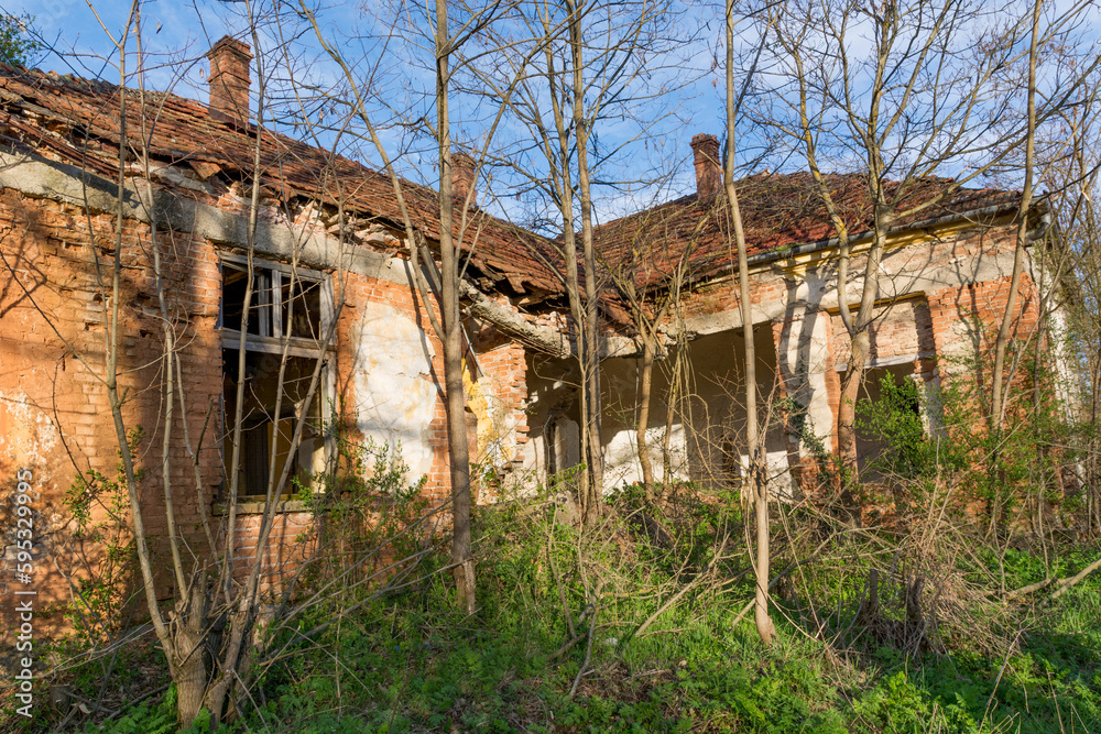 An ancient building slowly crumbling on its own, overgrown with bushes and locust trees on a sunny spring day. The building is made of bricks with a collapsed wall and windows due to aging