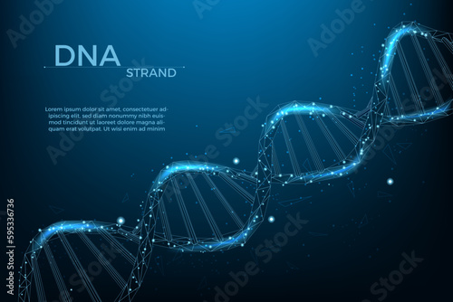 3d dna wireframe, health medicine banner template. Polygon helix hologram, innovation biology or genetic cells, futuristic chromosome molecule isolated. Vector gene background
