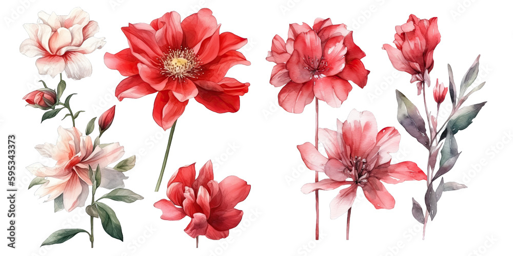 Set of red pink watercolor elements on transparent background