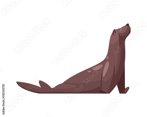 Seal Flat Illustration