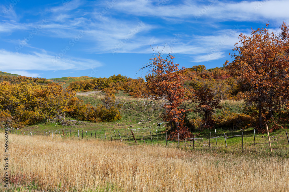 Fototapeta premium Autumn in Western Colorado