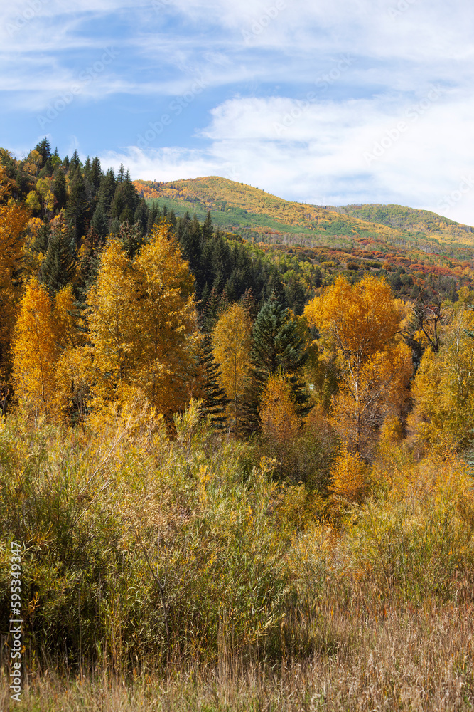 Fototapeta premium Autumn in Western Colorado
