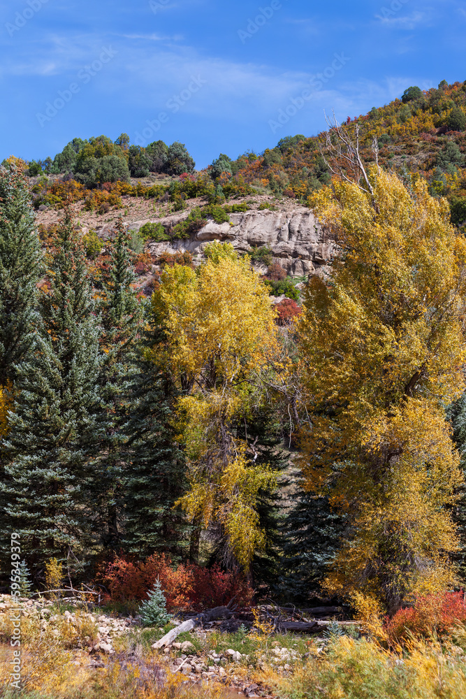 Fototapeta premium Autumn in Western Colorado