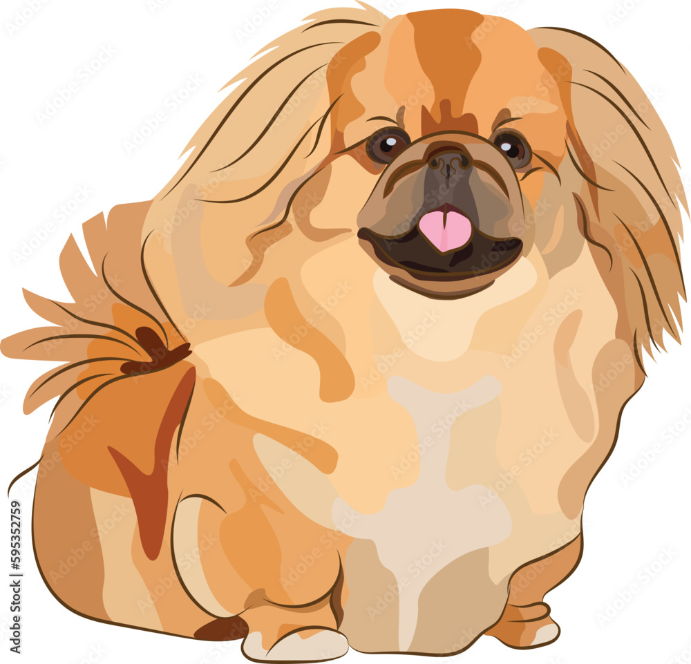 Smiling Pekingese dog. Cute pet logo design, breed small-size dog. Pet character postcard art, greeting card. Funny dog mascot. Cartoon character.