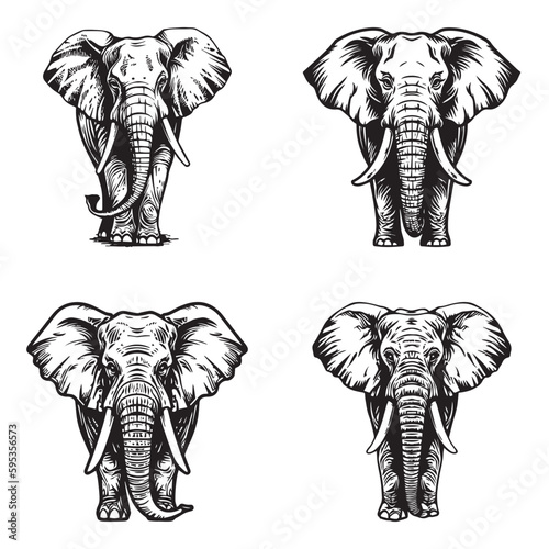 Elephant set - isolated vector images of wild animals