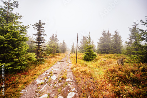 Mountain landscape in Jeseniky, view of the mountain range from the hiking trail on the top of small Jezernik from cernohorske saddle. A pathway for hikers through bog photo