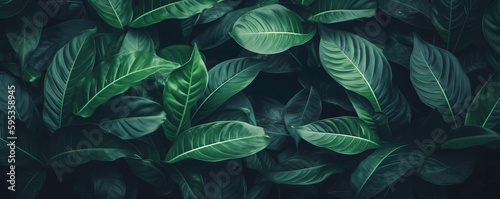 A tropical green leafy background texture perfect for summer designs  jungle foliage  exotic beauty. Natural and organic pattern banner  poster  wallpaper  or any other creative design. Generative Ai